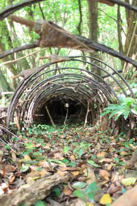 An old water pipe in decay at Queen Emmaʻs summer palace.