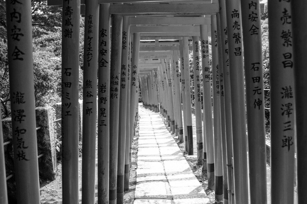 Took a perspective shot of what seems to be never-ending Tori gates lining up at a shrine near Tokyo University. Photo: Devin Takahashi/ Kapi'o.