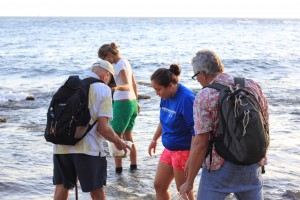 On the Diamond Head beach field trip, everybody explores the intertidal zone hoping to bring back some interesting specimens.