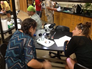 After the coral activity, students feed plankton to sea anemones to observe their reactions and movements.