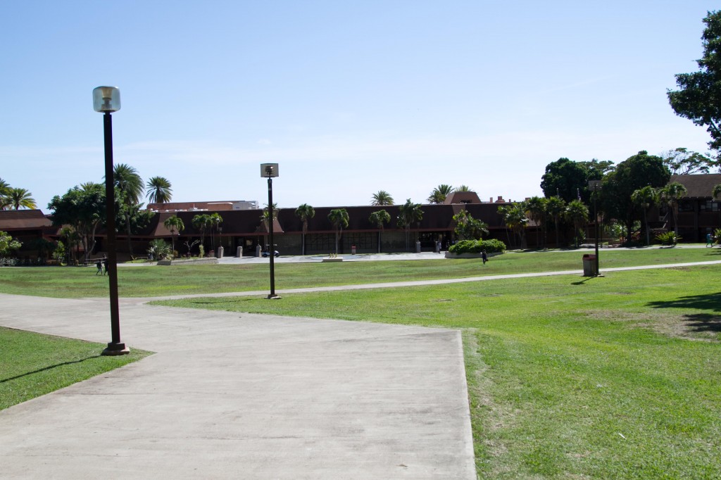 A beautiful day on the KCC campus. Photo: Devin Takahashi/Kapi'o.