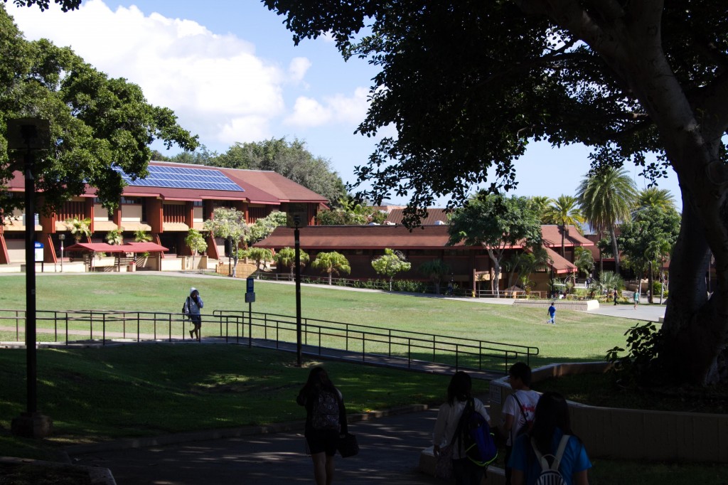 Nice photo of the shady trees in KCC. Photo:Devin Takahashi/Kapi'o.